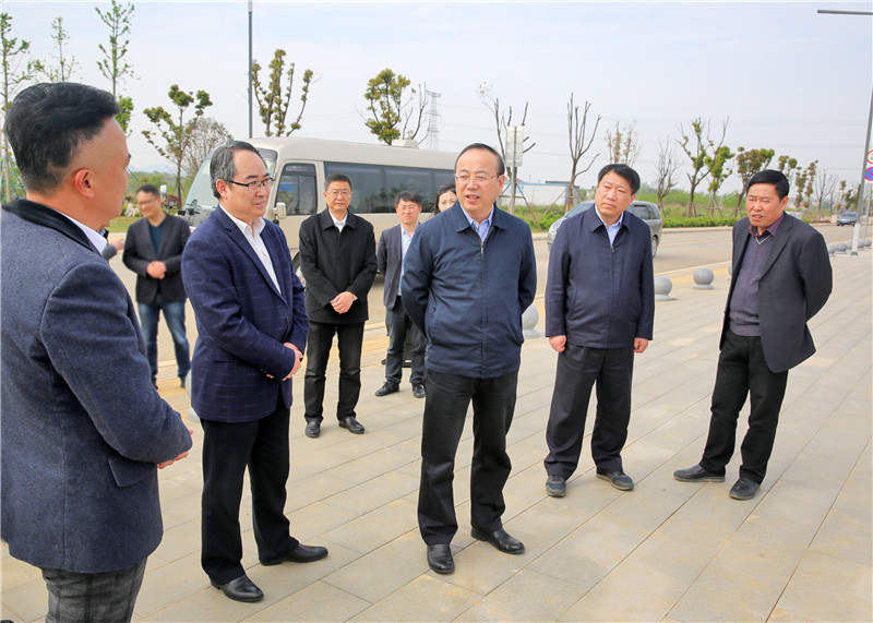 张祥安在怀宁桐城调研 - 要闻 - 安庆市纪检监察网站